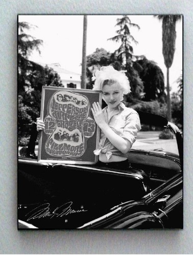 Framed marilyn monroe - framed,